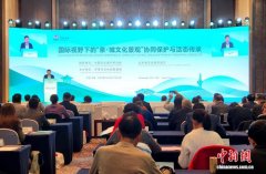 中外专家立足国际视野 为“济南泉·城文化景观”申遗献策